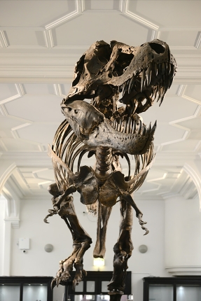 manchester museum 9-2023 8904